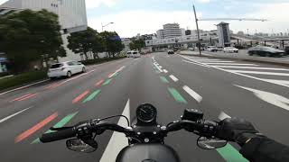 2020 Iron 883N Daily Ride Pure Exhaust sound [upl. by Menell]