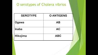 Vibrio Cholerae [upl. by Akcirehs]