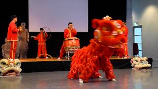 Chinese Lion Dance [upl. by Flyn]