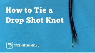 How to Tie a Drop Shot Knot [upl. by Aynik]