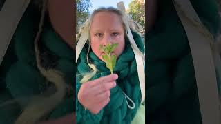 How to make salad in a pile of leaves 42 minute version at patreoncomemiliafart cooking recipe [upl. by Anilosi]