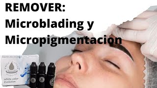 Tutorial  Paso a paso de micropigmentación de cejas  Wendy Ortiz [upl. by Itsym]