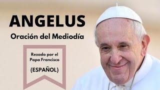 ANGELUS  Oración del mediodía rezada por el Papa Francisco Español [upl. by Vivie]