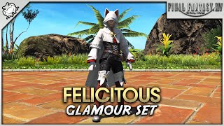 FFXIV  Felicitous Glamour Set [upl. by Ynohtona284]