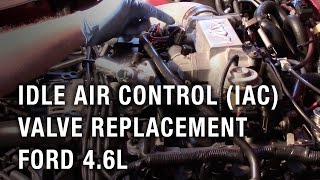 Idle Air Control IAC Valve Replacement  Ford 46L [upl. by Dayna]