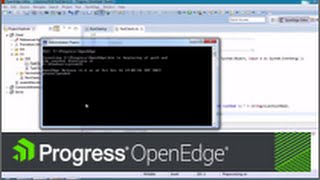 OpenEdge Debugging ABL Code [upl. by Lawford851]