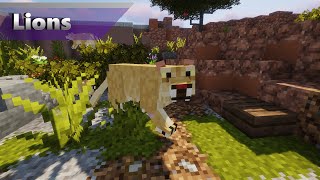 Lions  Alexs Mobs Zoo Minecraft 1165 Zoo [upl. by Mercado]