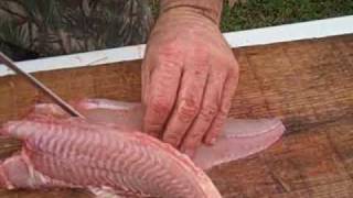 Skinning and Fileting a Catfish [upl. by Orihakat451]