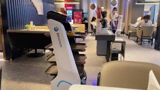 Food Delivery Robot T5 in a Restaurant in China [upl. by Thekla]