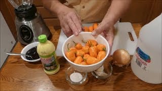 Homemade Habanero Hot Sauce [upl. by Kaye]