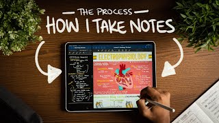 How I Take Notes with My iPad Pro in Lectures Notability amp GoodNotes  Free Template [upl. by Bartolomeo831]