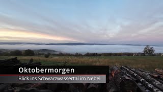 Herbstnebel im Schwarzwassertal an einem Oktobermorgen mit Sonnenaufgang über dem Spiegelwald [upl. by Yahs]