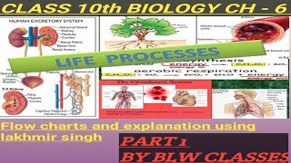 Numerical Questions Class 10th physics Chapter 10 Light Reflection and RefractionBy Lakhmir singh [upl. by Elocin]