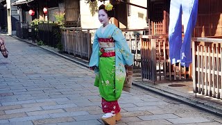 Geisha walking through the Gion Shirakawa of Kyoto  Geishaspotting  In search of Geisha [upl. by Lahey]