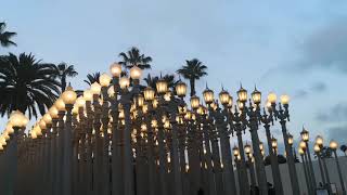 Free LA Sightseeing 2021 Urban Light  LACMA [upl. by Cirri]