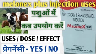 दर्द सूजन बुखार की अचूक दवा  melonex plus injection uses in Hindi  anti  pyretic analgesic [upl. by Ydnarb]