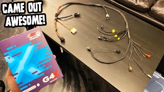 Making a CUSTOM engine harness from SCRATCH Full process [upl. by Hoxie]