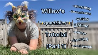 Quadrobics tutorial part 1 [upl. by Miko]