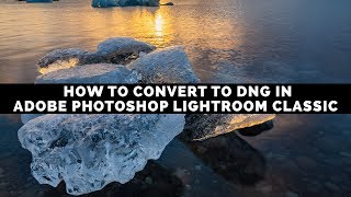 How To Convert Raw Photos To Dng In Adobe Photoshop Lightroom Classic [upl. by Laemsi]