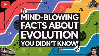 MindBlowing Facts About Evolution You Didnt Know [upl. by Eileek]