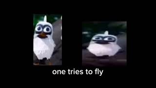 Bird screaming meme [upl. by Mokas]