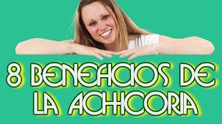 8 Beneficios de la Achicoria para la Salud [upl. by Suolekcin]