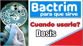 BACTRIM para que sirve cuando usarla efectos medicamentos para infecciones [upl. by Isayg]