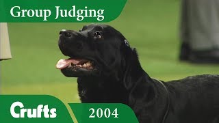 Labrador Retriever wins Gundog Group Judging at Crufts 2004 [upl. by Udelle]