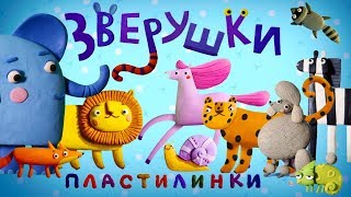 Пластилинки Зверушки 🐯 Все серии подряд 🦊 Премьера на канале Союзмультфильм HD [upl. by Seidule]