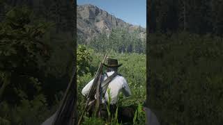 BERRENDO PERFECTO vs Otro Berrendo ¿Cuál es Mejor para RDR2 rdr2 shorts rdr2 rdr rpg [upl. by Holbrook83]