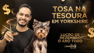 Tosa na Tesoura em Yorkshire Live 060 [upl. by Eelinnej]