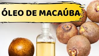 Óleo de macaúba saiba quais são suas propriedades medicinais para a saúde [upl. by Ellyn]