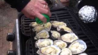 Grilled Oysters on the half shell [upl. by Kciderf]