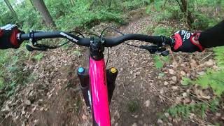 Eckington woods mtb [upl. by Issy]