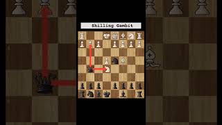 Shilling Gambit  chess gambit chess checkmate viral viralvideo trending [upl. by Melbourne]