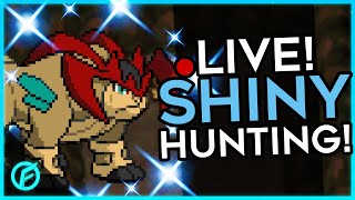 ✨4x Terrakion Shiny hunt✨ ⚡ROGUE⚡🌟RECENT🌟🟣TWITCH🟣 [upl. by Dviad]