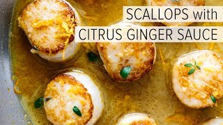 SCALLOPS with CITRUS GINGER SAUCE  how to cook scallops [upl. by Ewer]