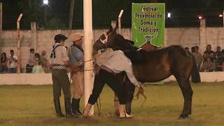 Videos de Jineteadas Festival Campeonato Monte Caseros 2019 [upl. by Adnohsor]