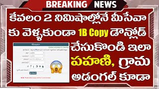 How to download 1b form andhra pradesh  Meebhoomi 1b and adangal [upl. by Kemble102]