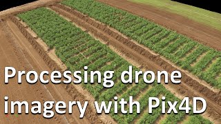 How to process RGB and multispectral drone imagery in Pix4D Drones in agriculture series 27 [upl. by Ekrub432]