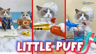 That Little Puff  COMEDY VIDEOS  SEPTEMBER 2024 [upl. by Hawker]