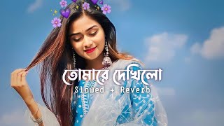 Tomare Dekhilo  তোমারে দেখিলো Slowed  Reverb Habib Wahid  Nancy 💙 [upl. by Jehoash371]