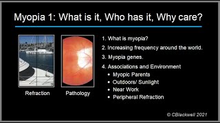 Myopia 1 What is it Who has it and Why care [upl. by Ennovi951]