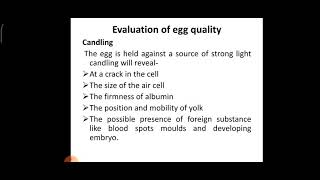 Evaluation of egg quality [upl. by Mohkos]