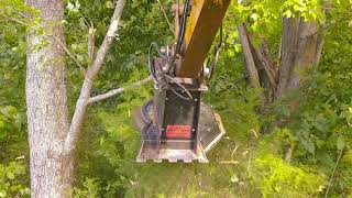 Mini Excavator Disc Mulcher in Action  Rut Mfg [upl. by Edin]