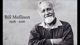 Permaculture People  Bill Mollison [upl. by Frances]