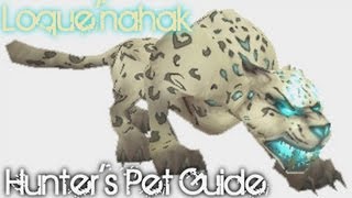 LoqueNahak  WoW Rare Hunters Pet Guide [upl. by Sari326]