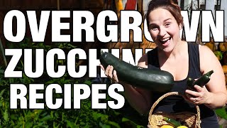 How to Cook an Overgrown Zucchini PLUS 26 BONUS RECIPES [upl. by Boland]