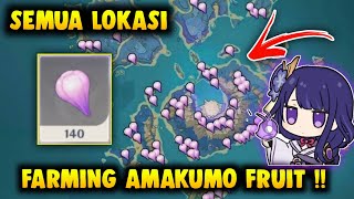 Semua Lokasi Farming Amakumo Fruit Di Inazuma Genshin Impact [upl. by Dixie]