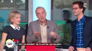 Comment planter ses bulbes [upl. by Georgy]